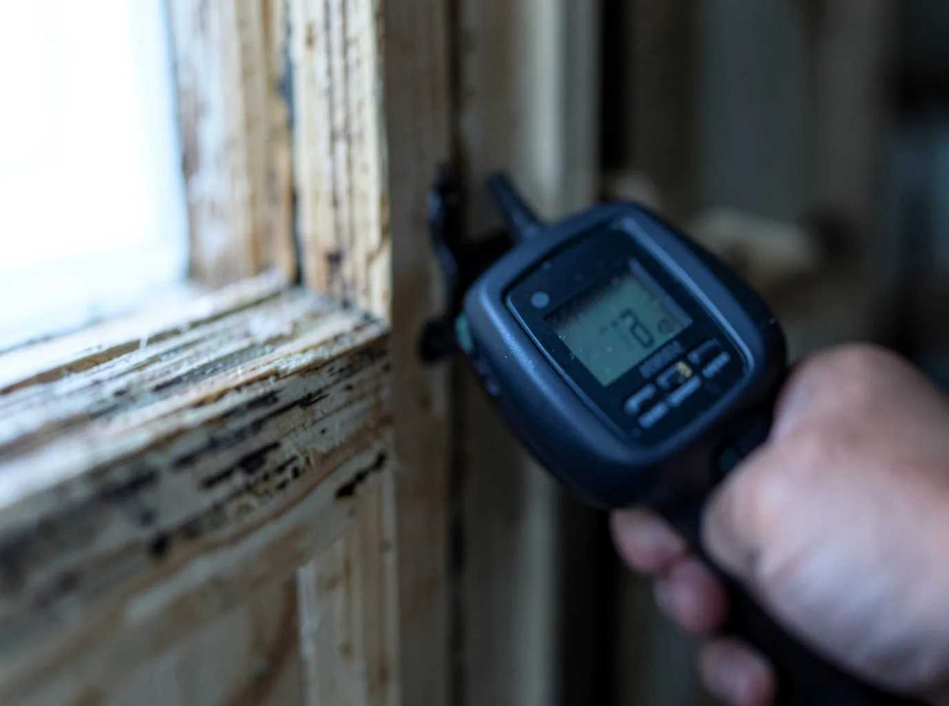 Moisture Inspection And Documentation in East Bernstadt, KY